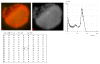 Figure 19