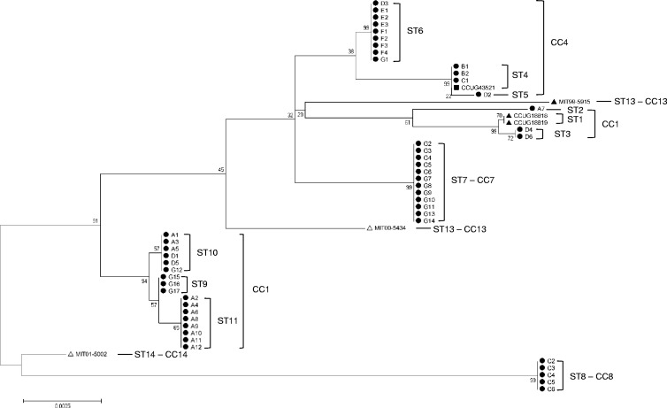 Fig 1