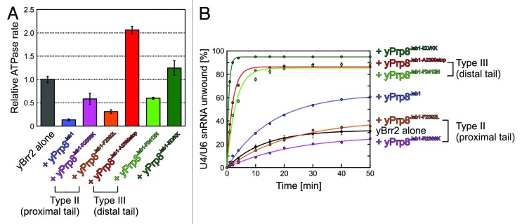 graphic file with name rna-11-298-g6.jpg