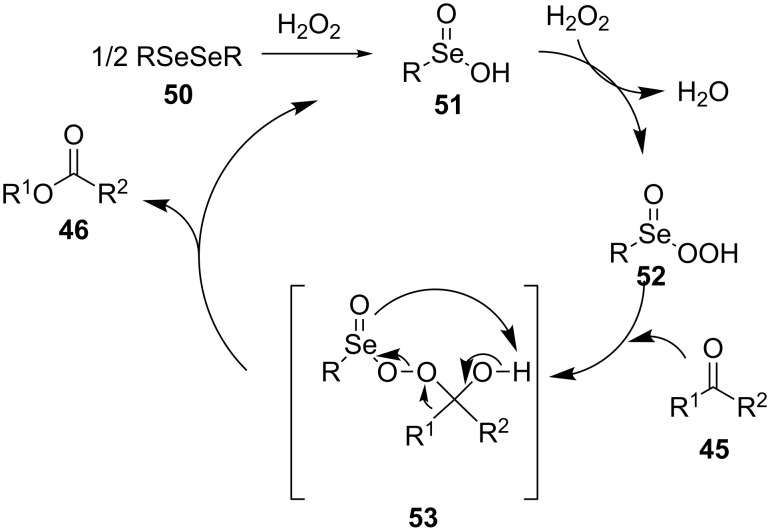 Scheme 14