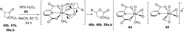 graphic file with name Beilstein_J_Org_Chem-12-1647-i032.jpg