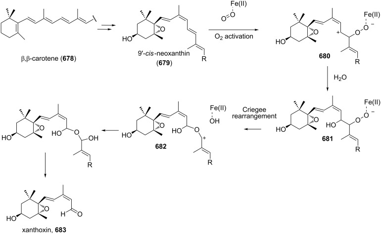 Scheme 189