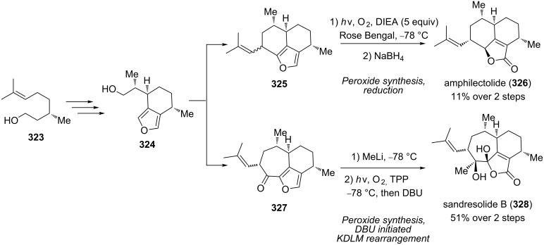 Scheme 97