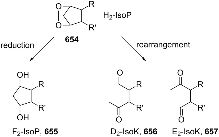 Scheme 183