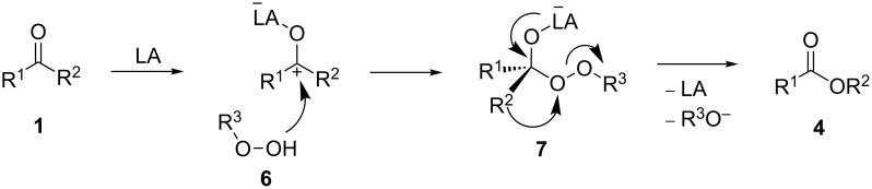 Scheme 3