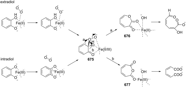 Scheme 188