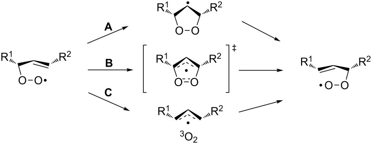 Scheme 116