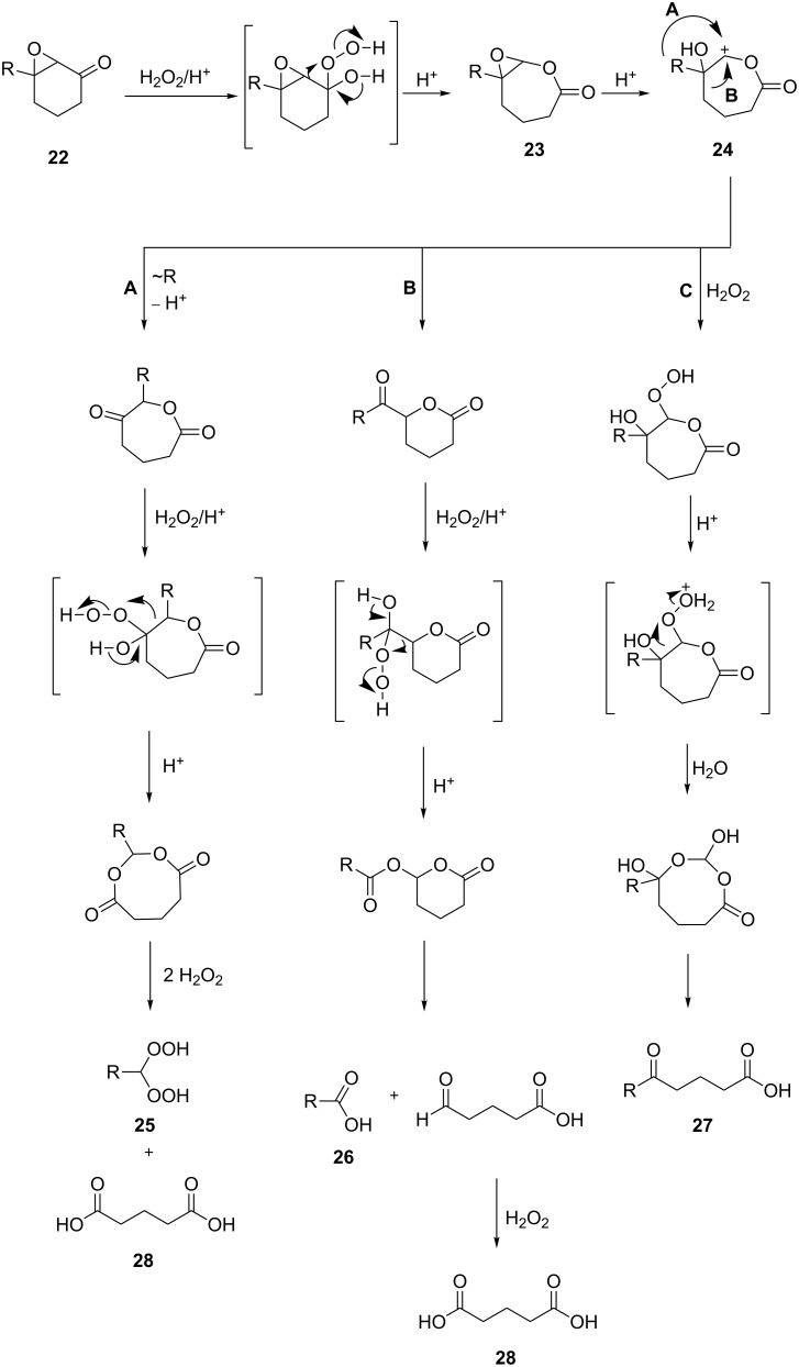 Scheme 7