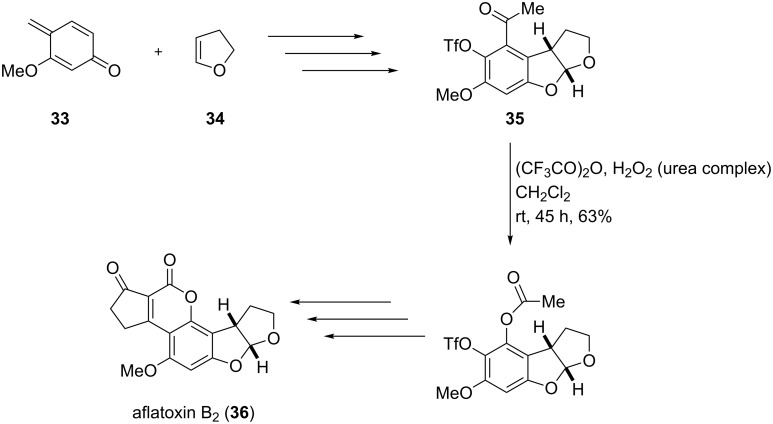 Scheme 10