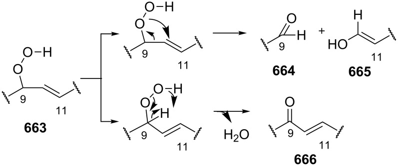 Scheme 185