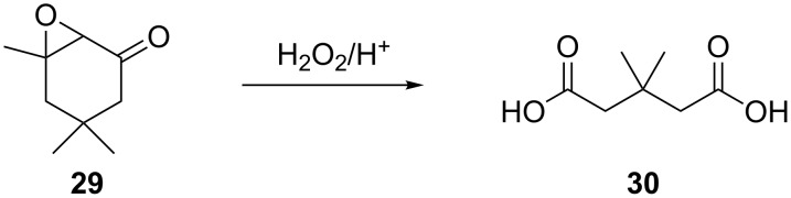 Scheme 8