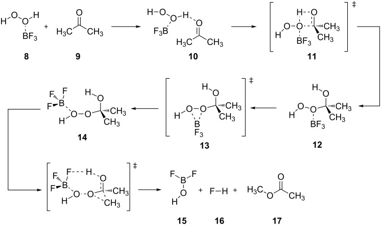 Scheme 4