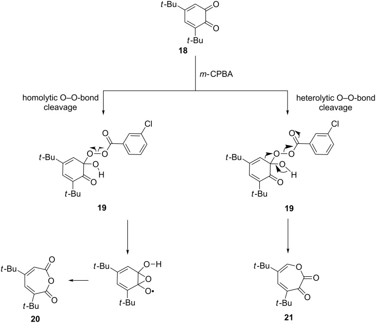 Scheme 6