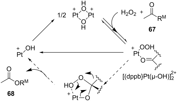 Scheme 20