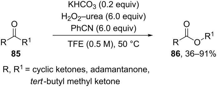 Scheme 28