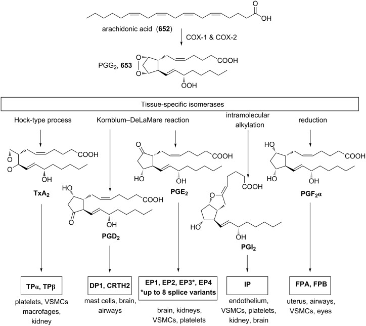 Scheme 182