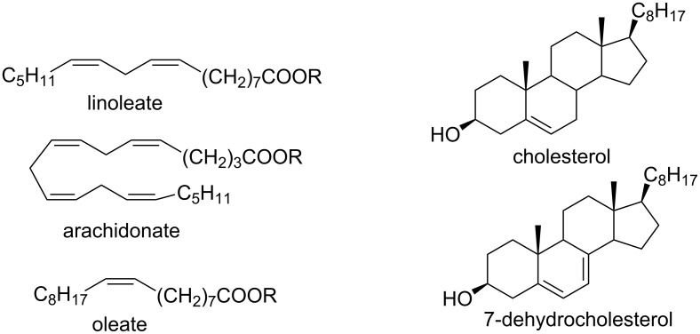 Scheme 181