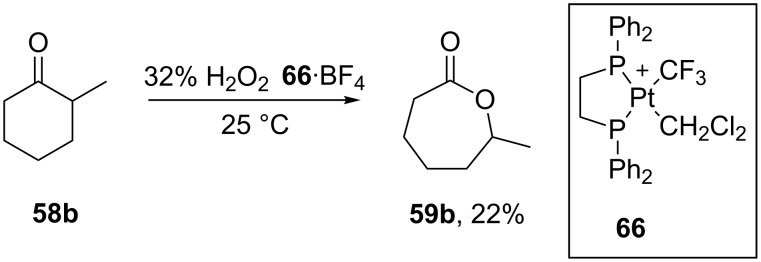 Scheme 18