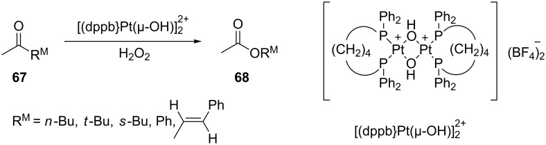 Scheme 19