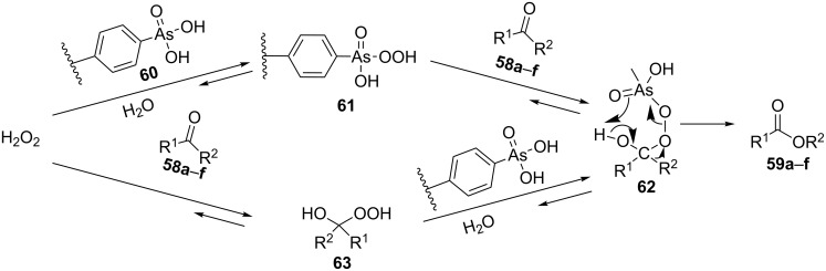 Scheme 17