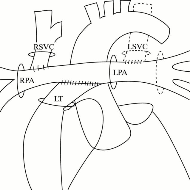 Figure 1  