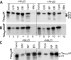 Figure 2.