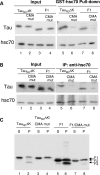 Figure 7.