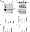 Figure 4.