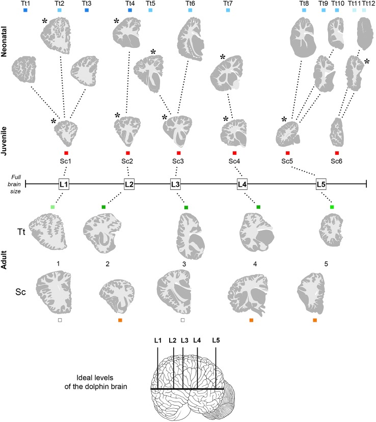 FIGURE 3