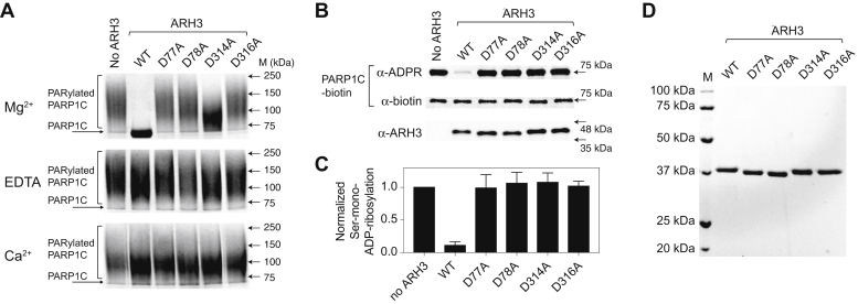 Figure 3