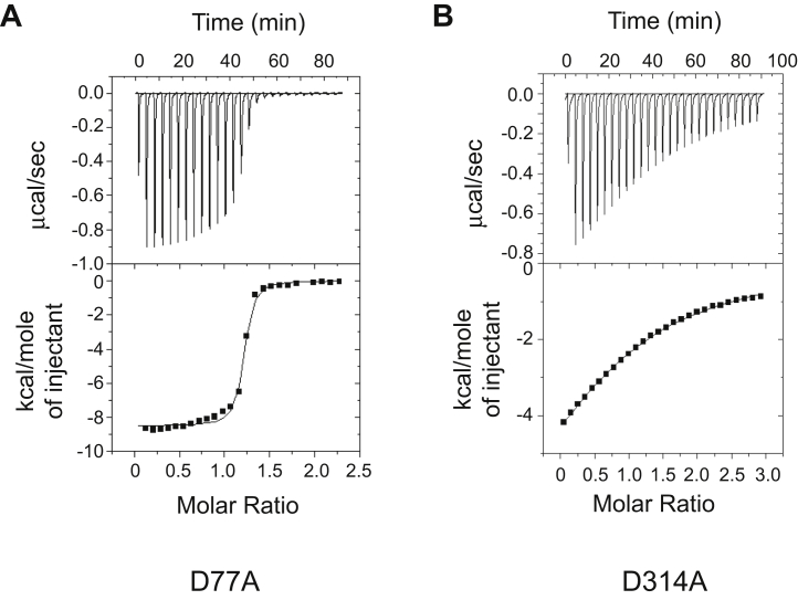 Figure 5