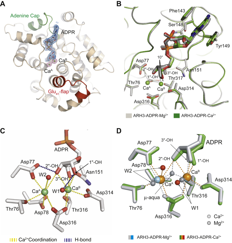 Figure 2