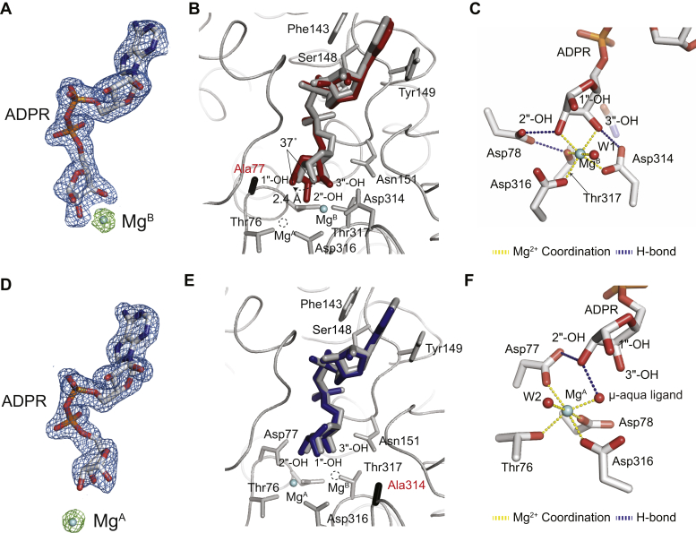 Figure 4