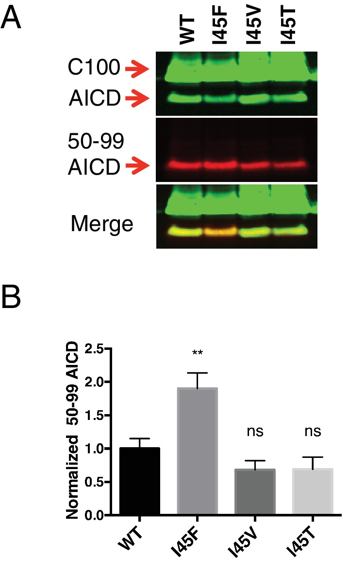 Figure 7—figure supplement 2.