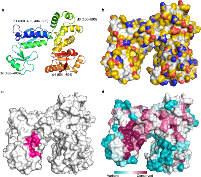 Fig. 2