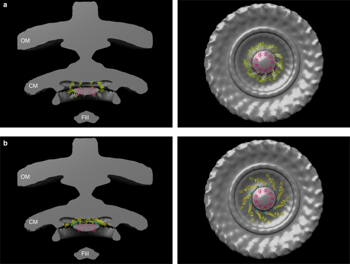 Fig. 6