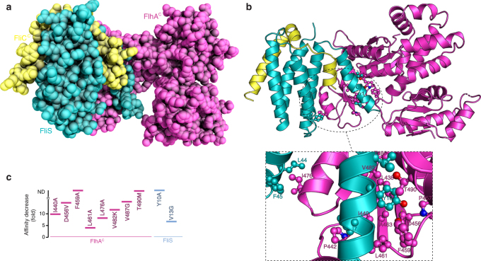 Fig. 4