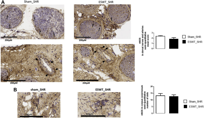 Figure 5