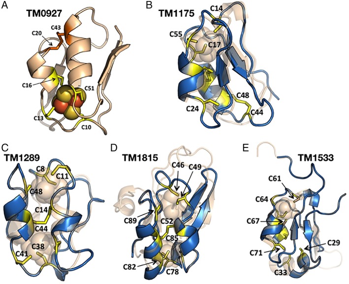 Figure 10