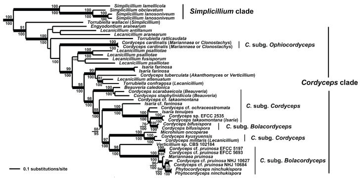 Fig. 8.