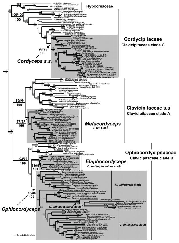 Fig. 10.