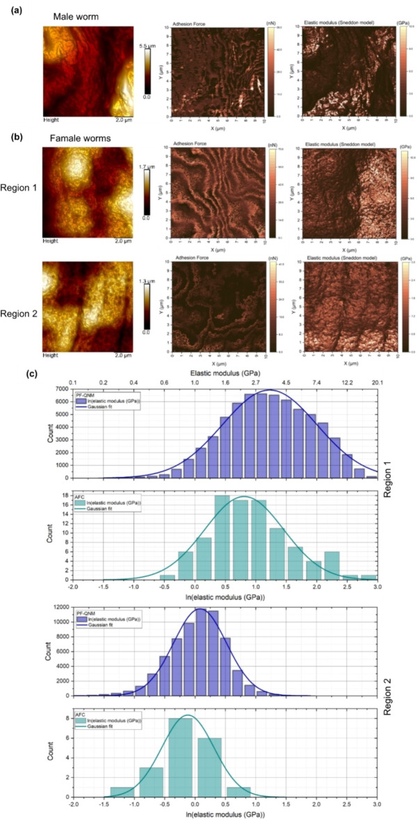 Fig. 6