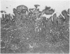 230