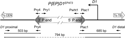 Figure 1.—