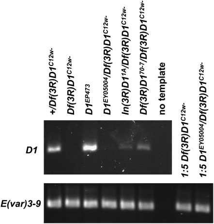 Figure 3.—