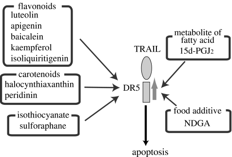 Fig. 4