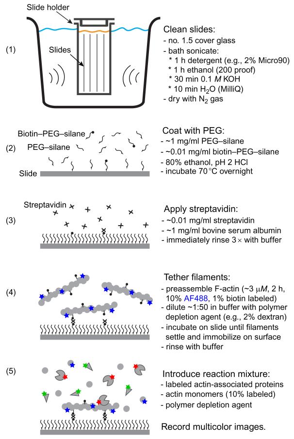 Figure 6.1