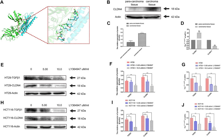 FIGURE 11