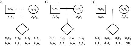 Figure  1. 