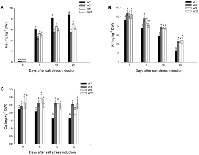 FIGURE 6